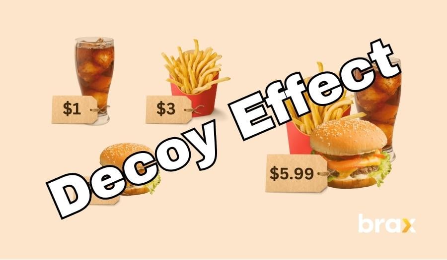 Decoy Pricing Strategy How to Increase Your Average Order Value