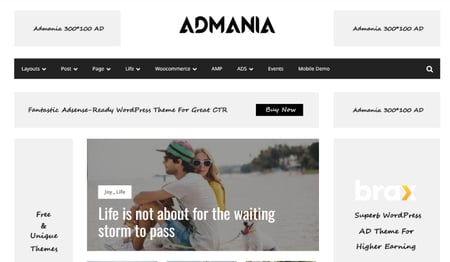 Best WordPress Themes for Ad Arbitrage in 2023