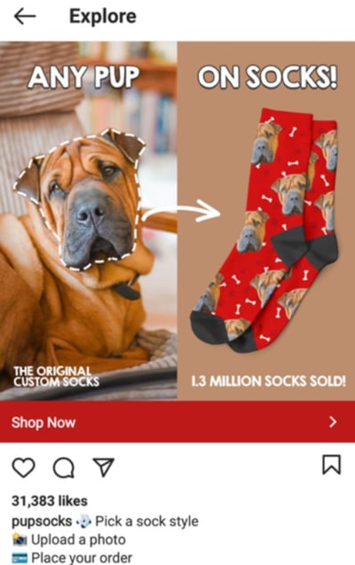 best instagram ads of 2021 pupsocks
