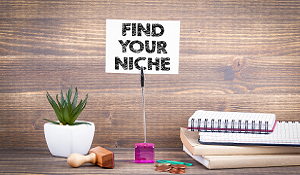 Niche Marketing: Earn Big by Targeting Small