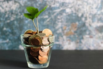 High Paying Affiliate Programs that Crush on Native