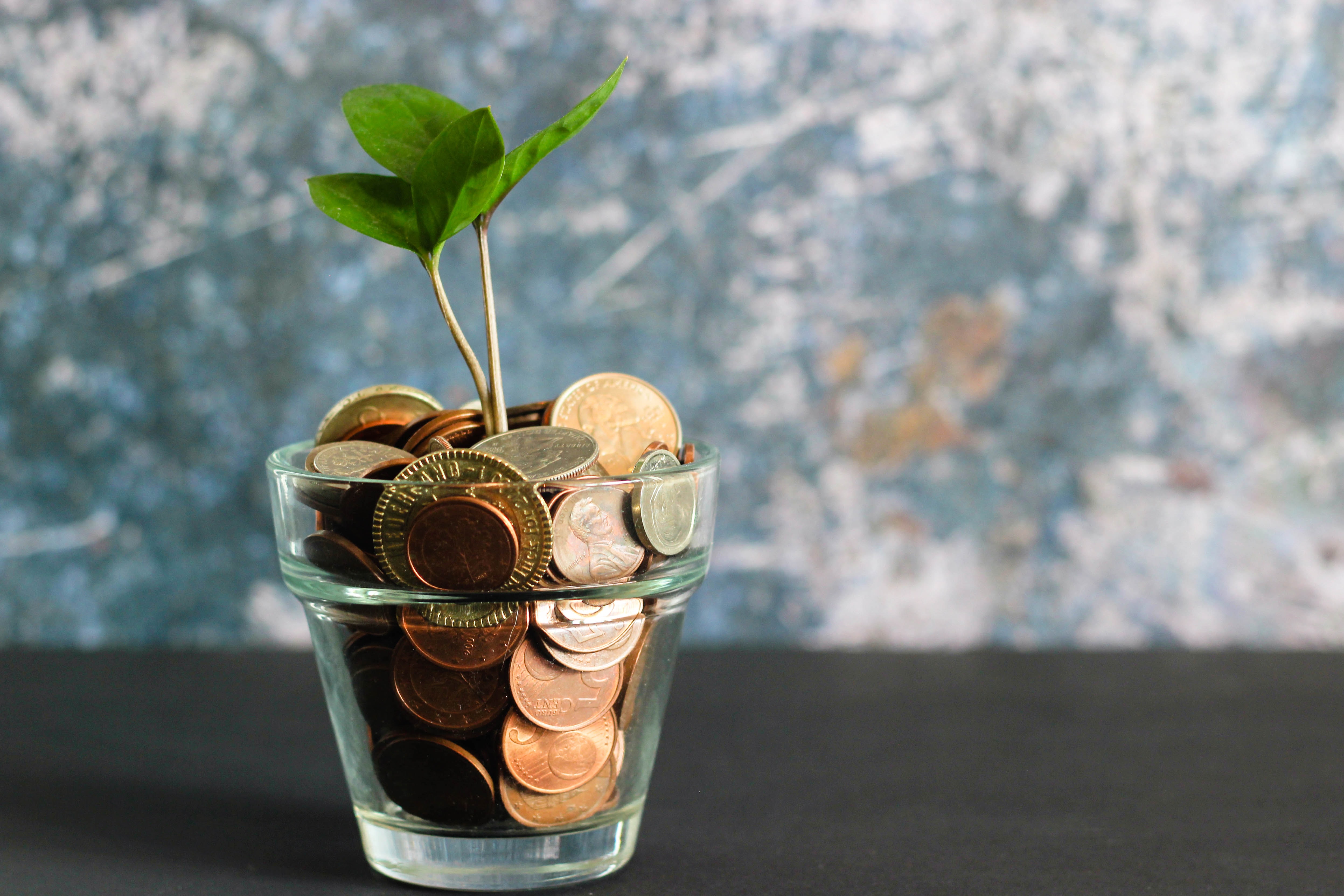 pennies-inside-a-jar-with-plant-on-top