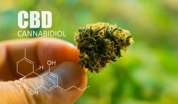 what is cbd